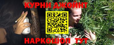 прущие крисы Новозыбков