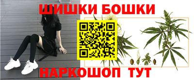 бошки Новодвинск