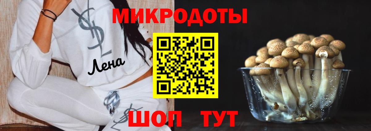 Свободный  Псилоцибиновые грибы MAGIC MUSHROOMS  Вход с VPN 