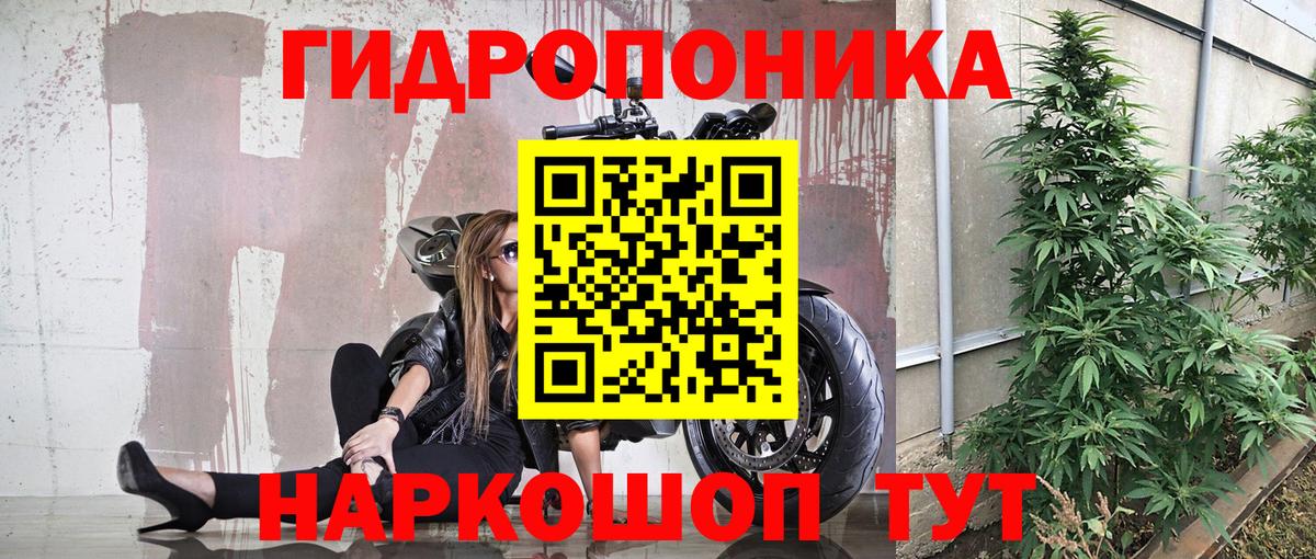МАРИХУАНА индика  Вход с VPN  Свободный  Каннабис White Widow  МАРИХУАНА VHQ 